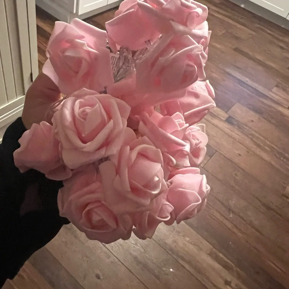 Light up pink roses